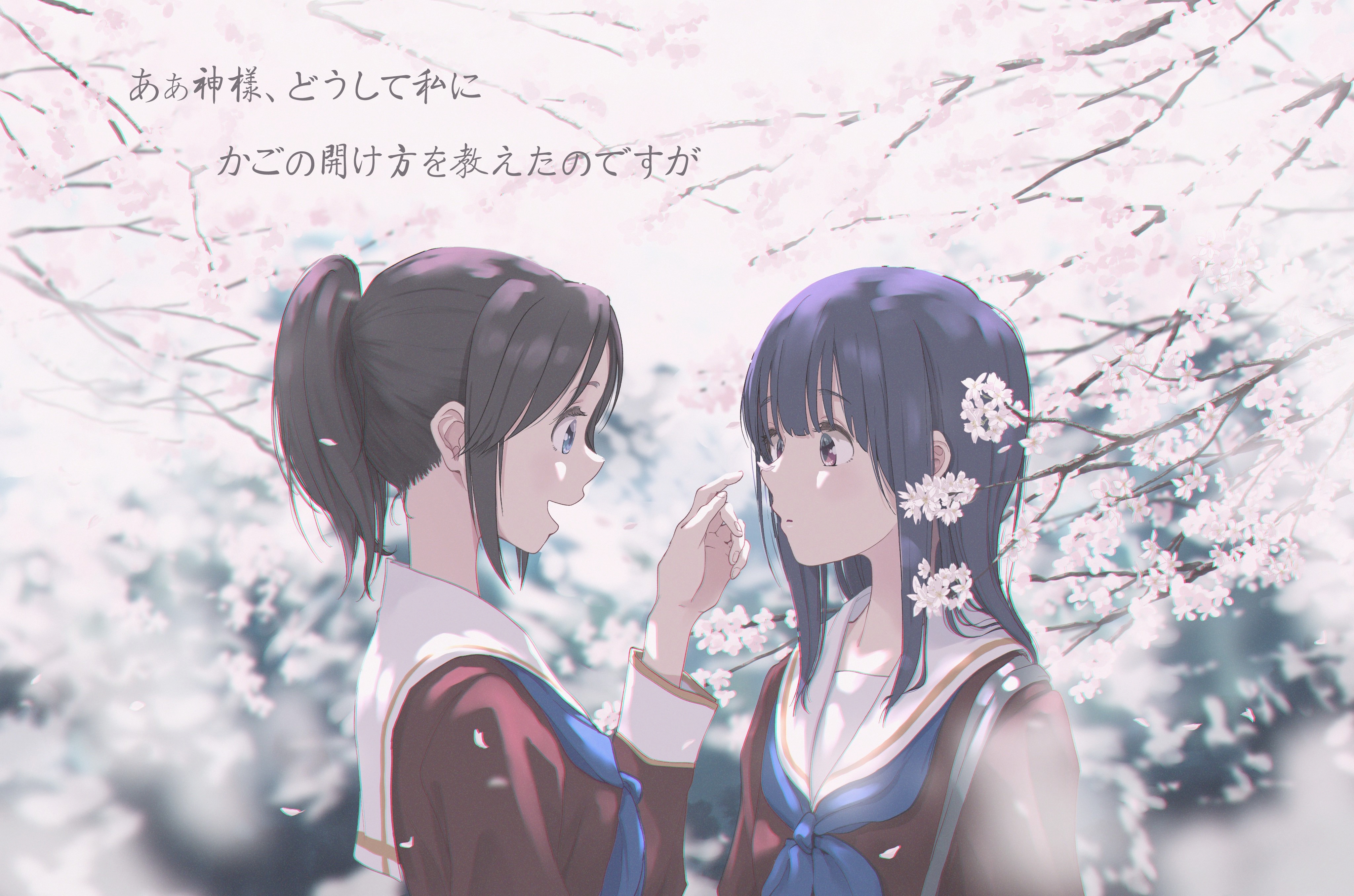 あぁ神様、どうして私に
かごの開け方を教えたのですが