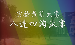 Featured image of post 实萌八进四淘汰赛详细投票数据