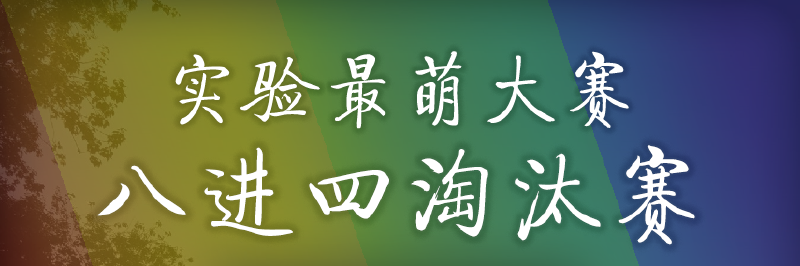 Featured image of post 实验最萌大赛 八进四淘汰赛投票通道