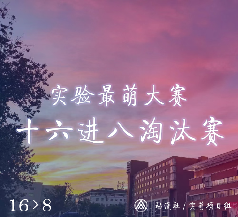Featured image of post 实验最萌大赛 十六进八淘汰赛投票通道