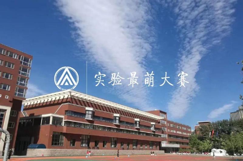 Featured image of post 第二届「实萌」提名征集公告